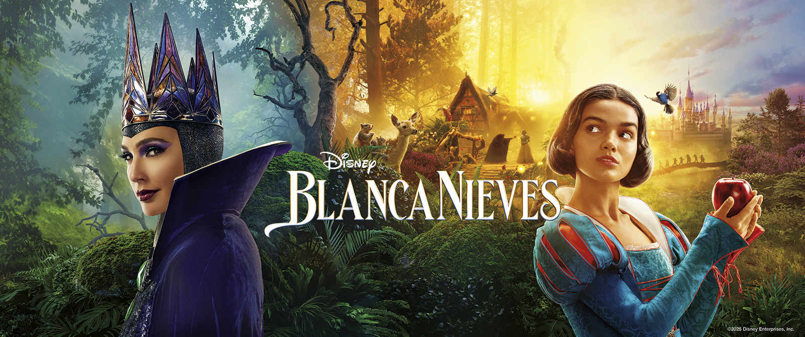 Banner Pelicula